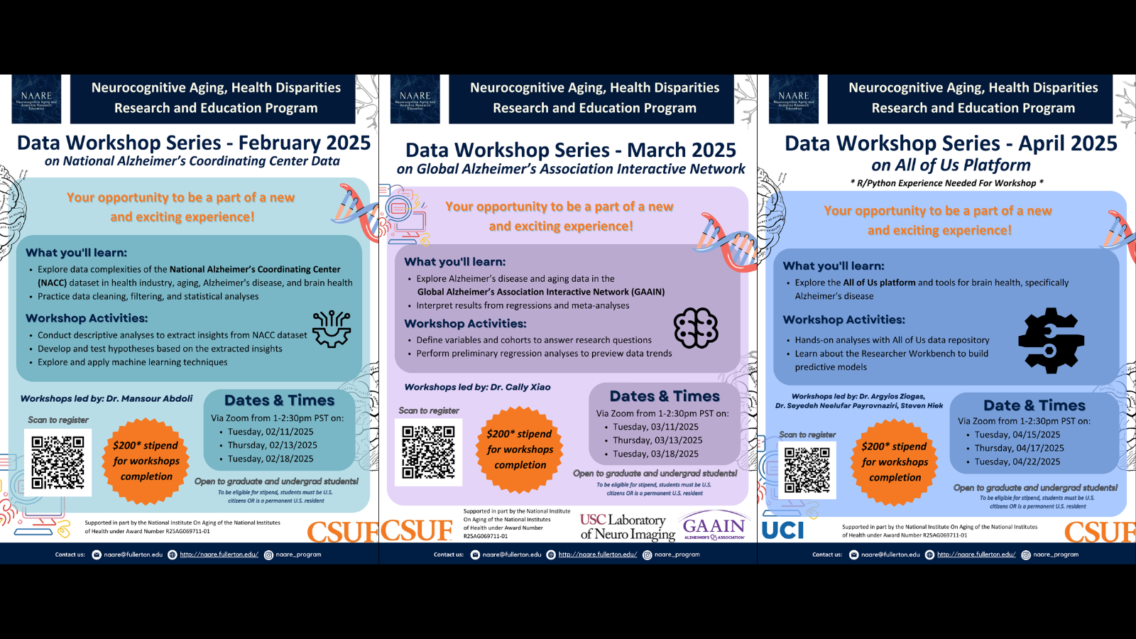 Data workshop series posters